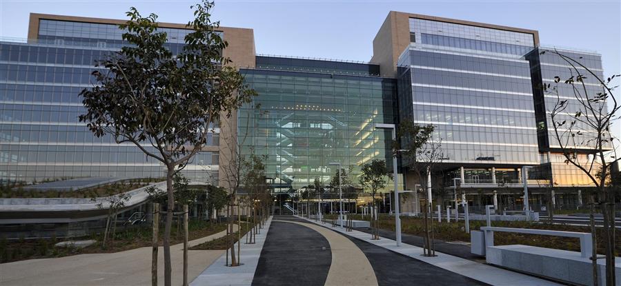 Standard Bank launches representative office in Egypt on November 12th

